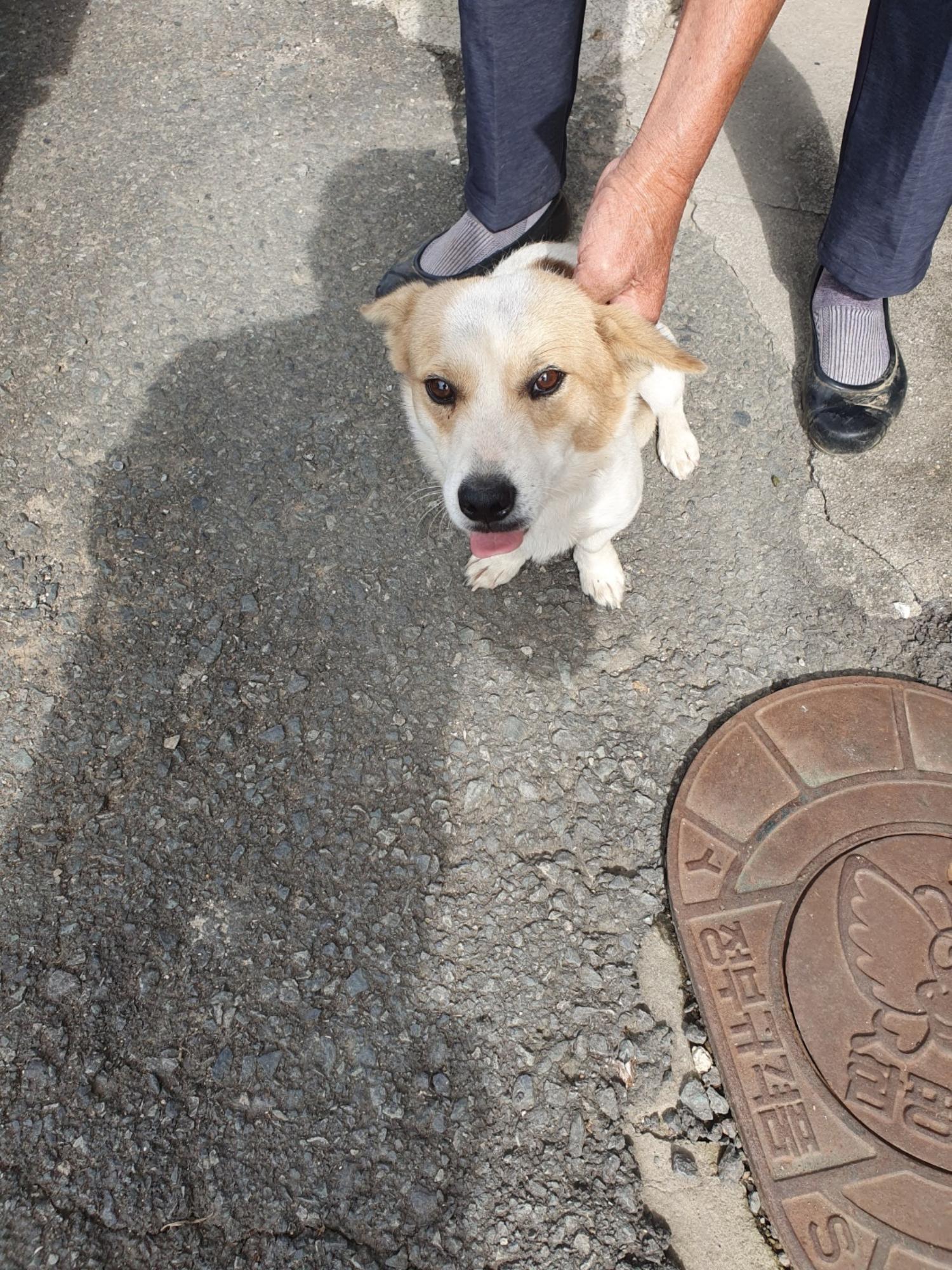 학교동물임시보호센터_446496202300547