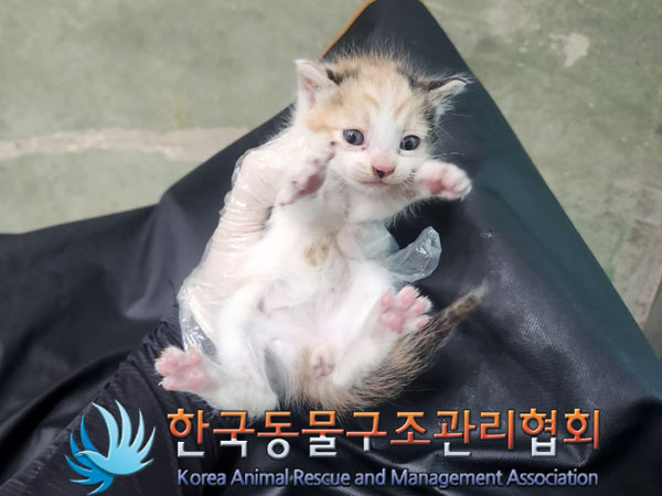 종료(자연사) 한국…