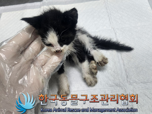 종료(자연사) 한국…