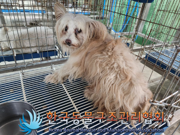 한국동물구조관리협회_441414202300776