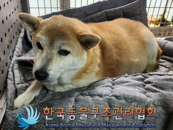 종료(자연사) 믹스…