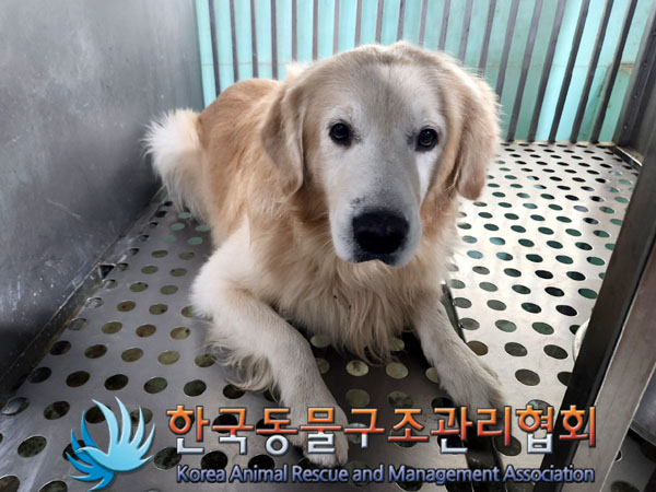 한국동물구조관리협회_441414202300779