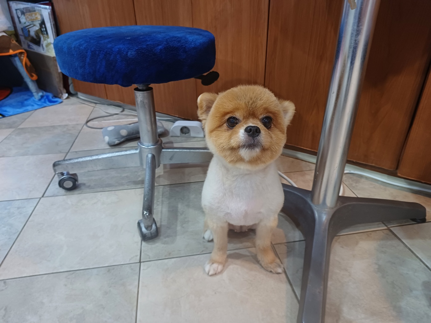 행복한동물병원_445464202303502