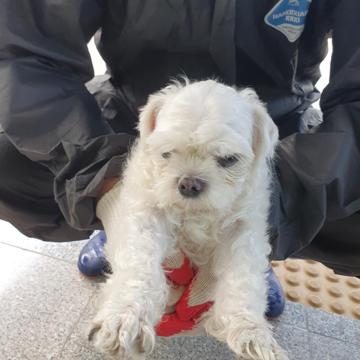 구미시 동물보호센터_447508202300949