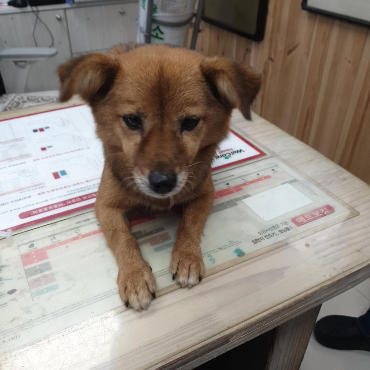 나주유기동물보호센터_446483202301474