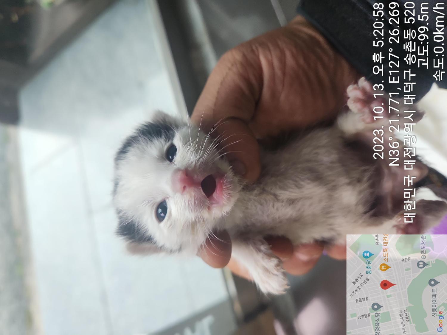 대전동물보호센터_430368202300459