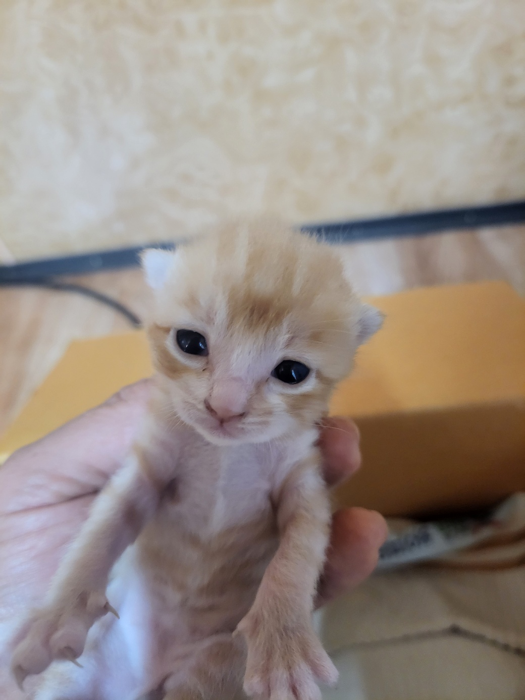 진안군유기동물보호소_445473202300575