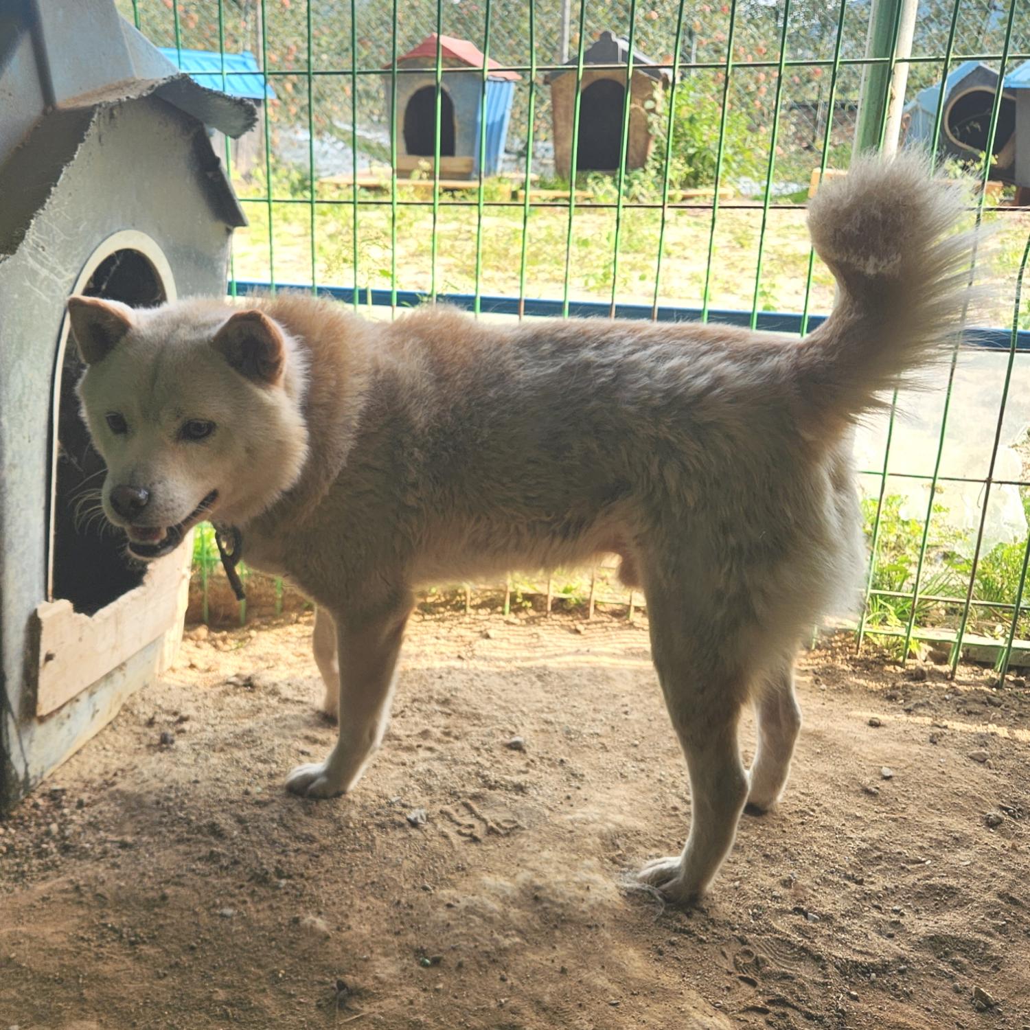 더가까운동물병원_443442202300173