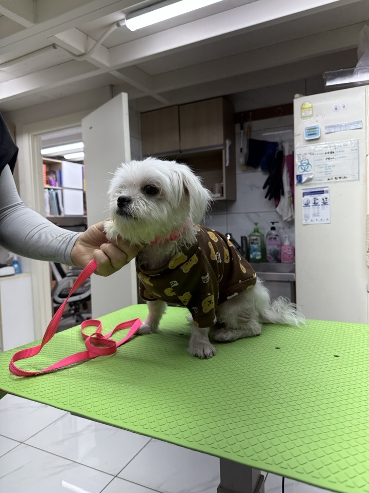 신공항동물병원_428349202300947