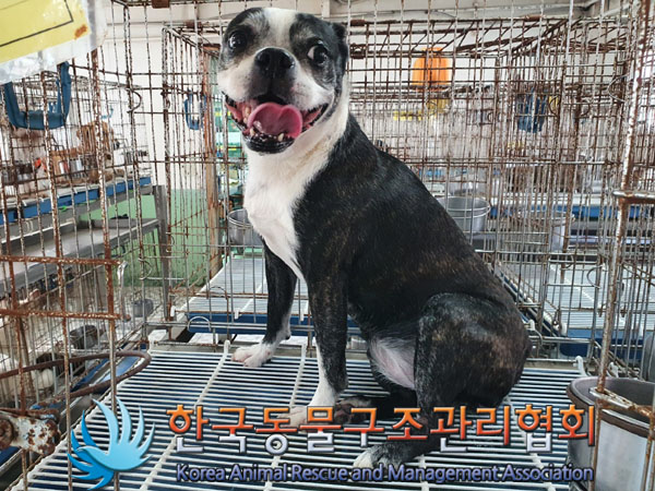 종료(반환) 보스턴…