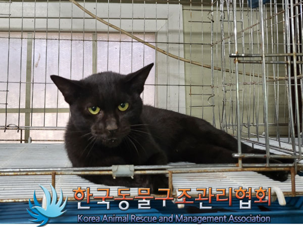 한국동물구조관리협회_411307202300422