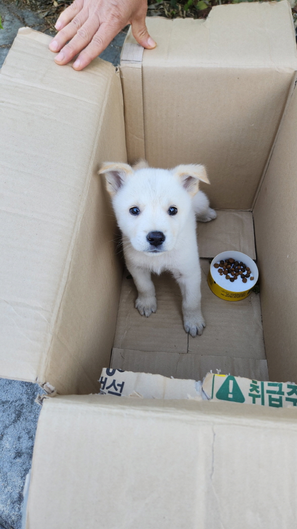 익산유기동물보호소_445468202302061