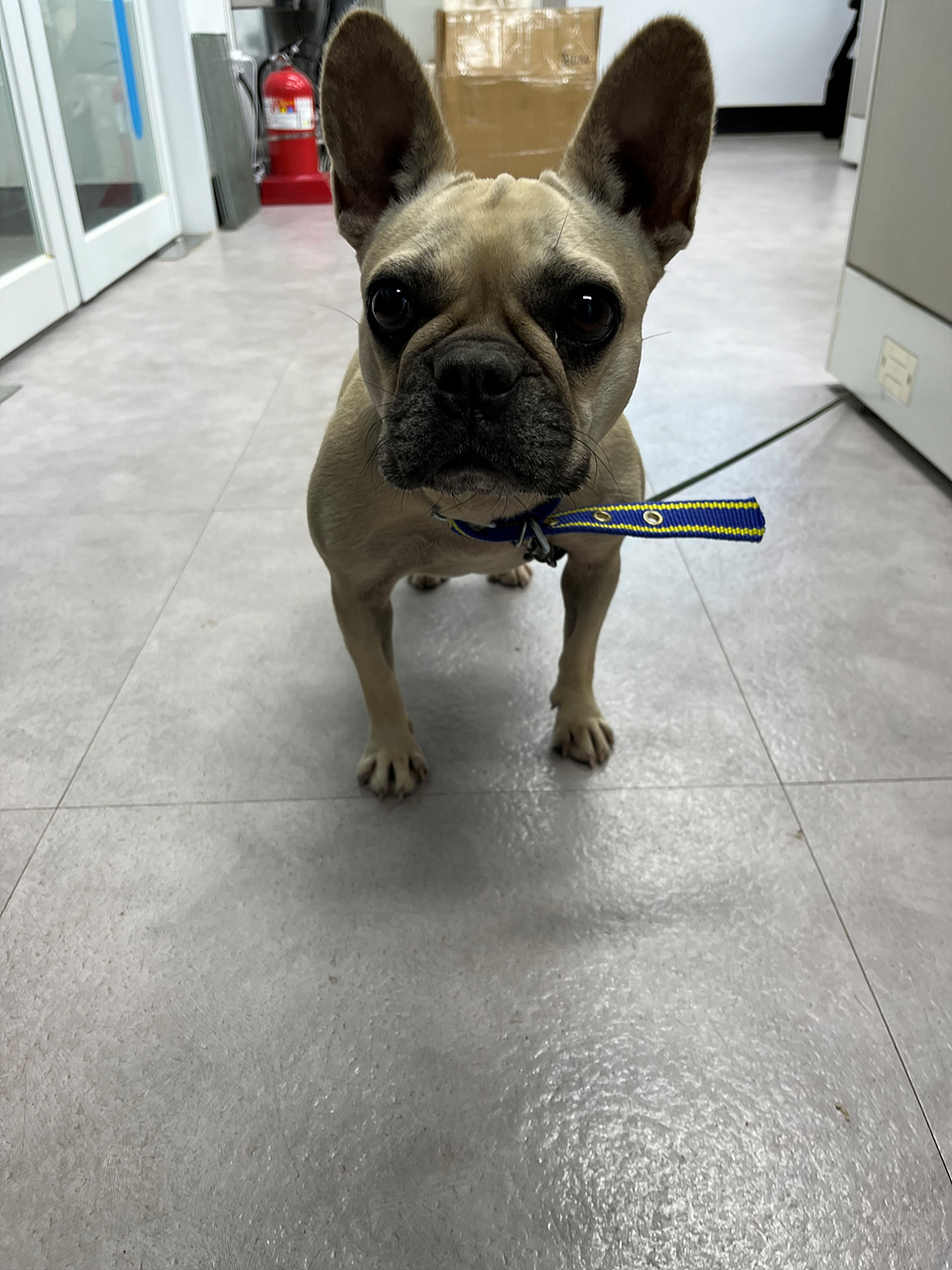 시흥동물누리보호센터_441401202301579