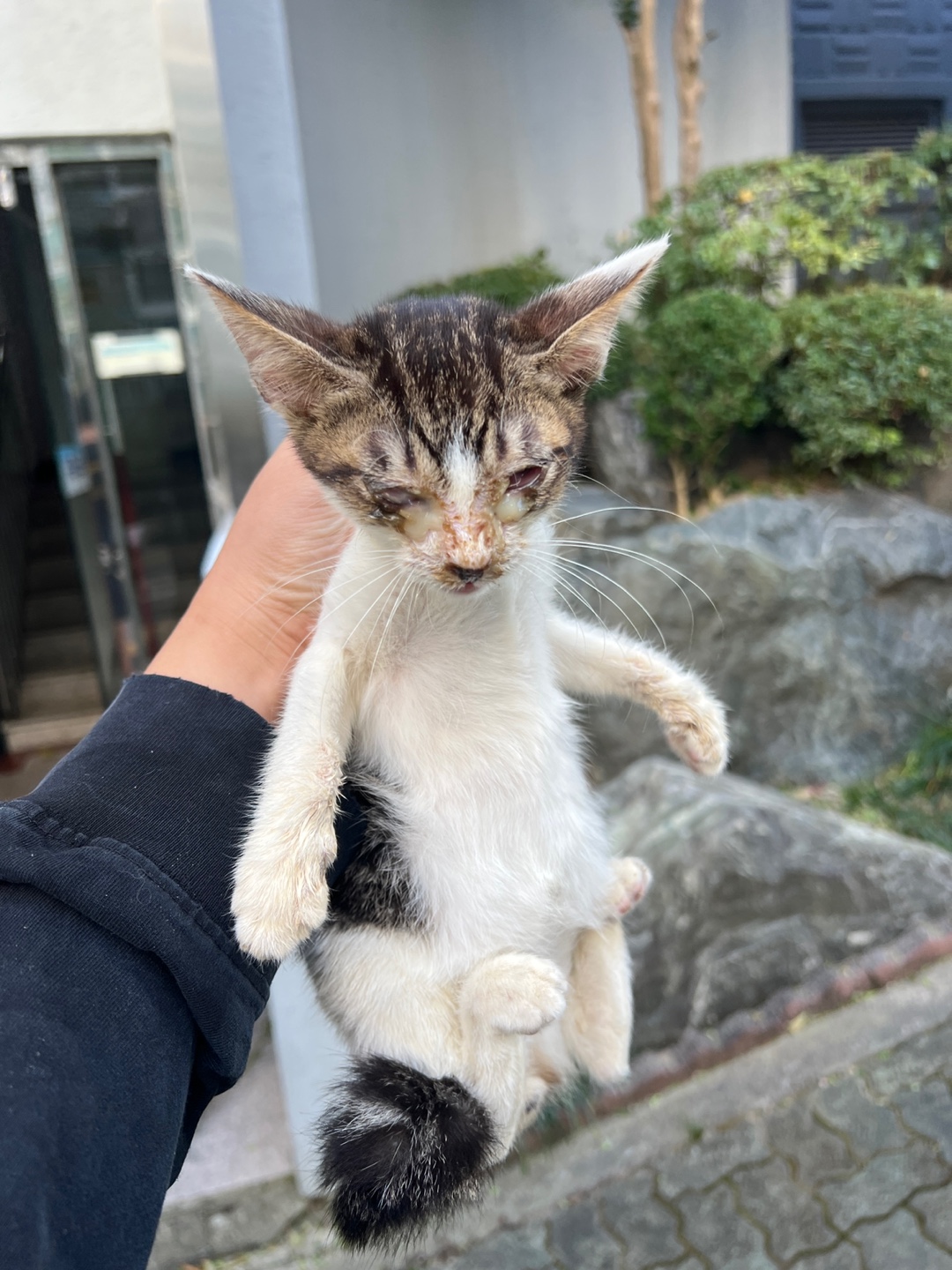 부산동물보호센터_426332202300582