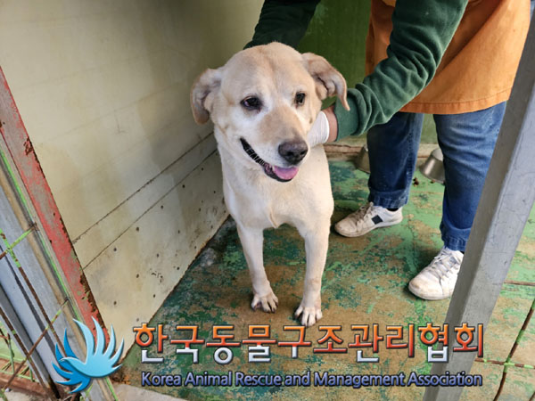 한국동물구조관리협회_411304202300683