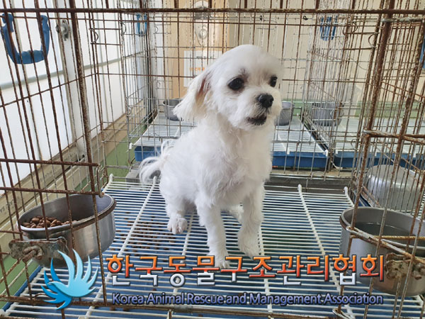 한국동물구조관리협회_441409202301661