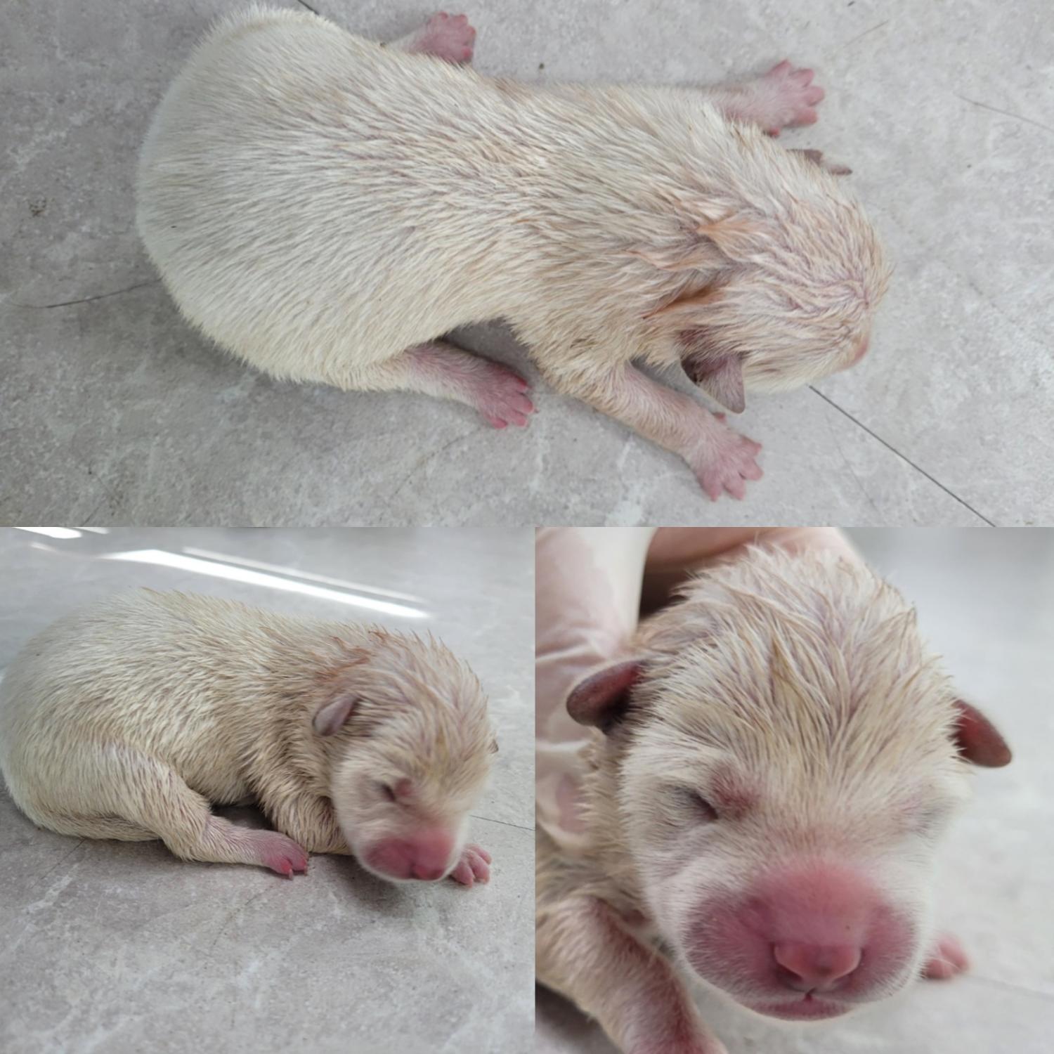 논산시 동물보호센터_444454202300906