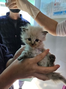 제주 동물보호센터_450650202303582