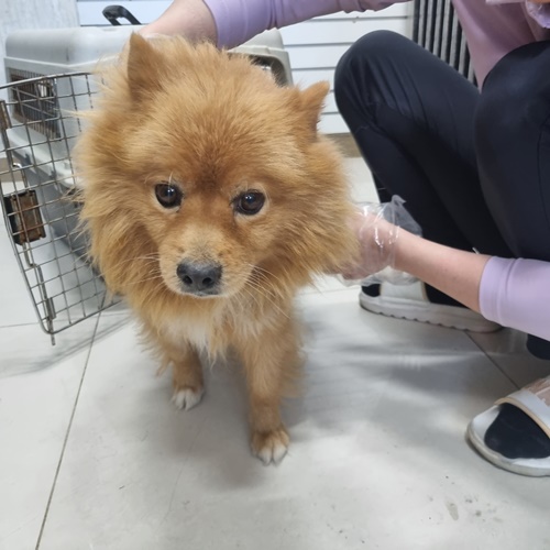 최동물병원_444462202300707