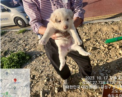 대전동물보호센터_430367202300597