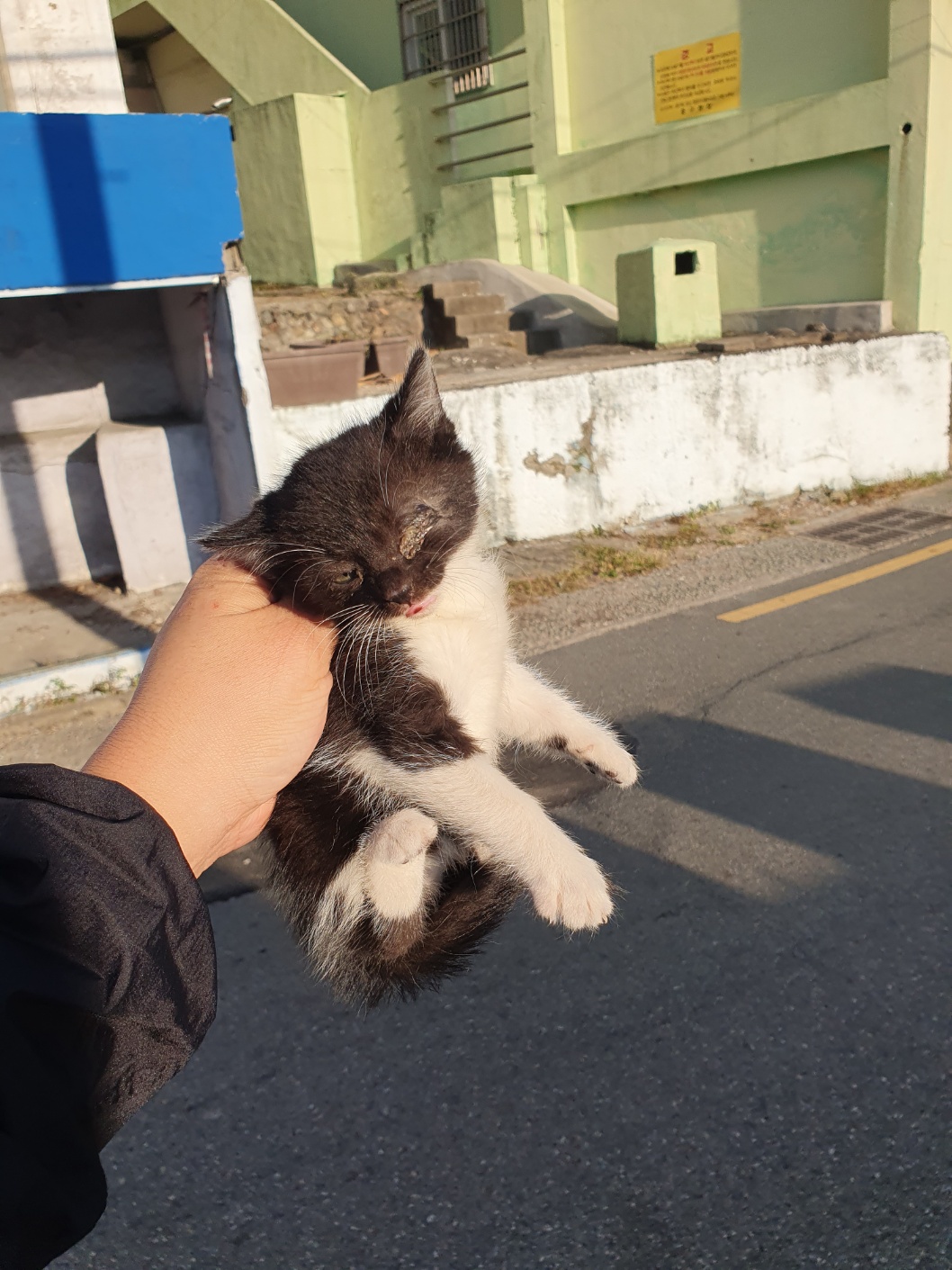 부산동물보호센터_426325202300388