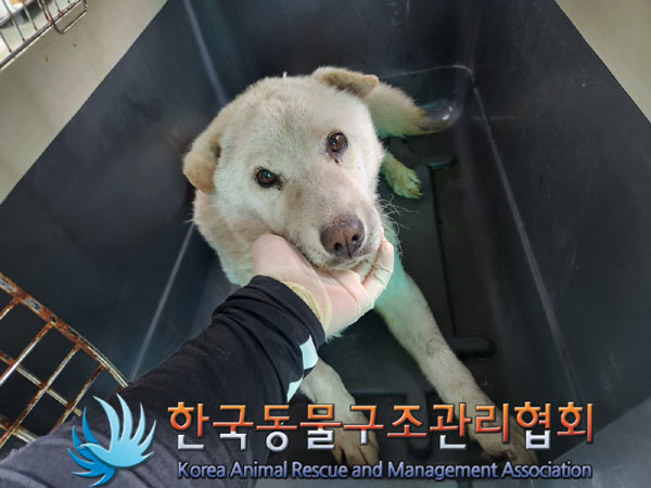 종료(자연사) 믹스…
