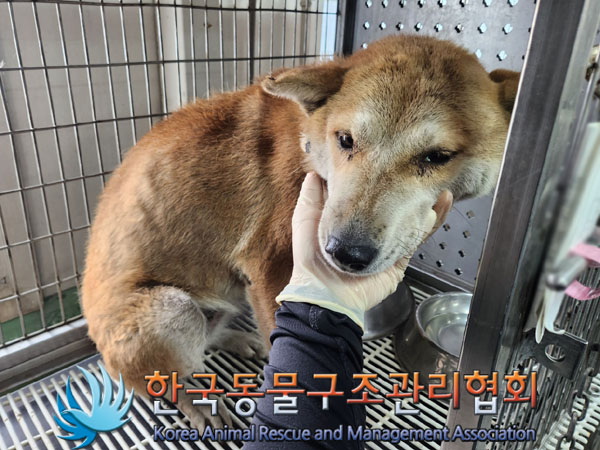 한국동물구조관리협회_441409202301666