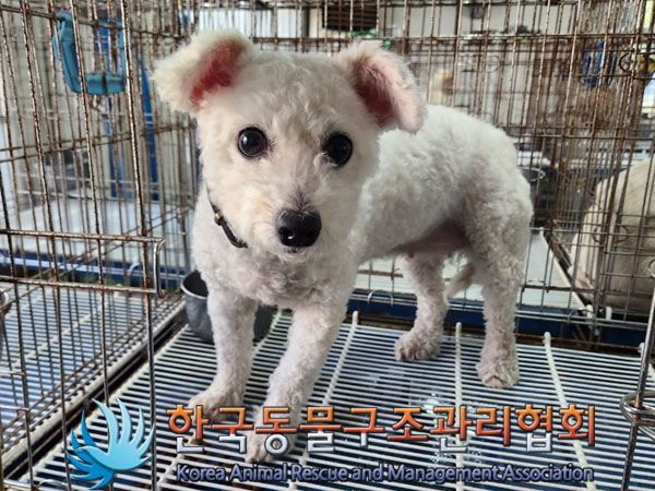 한국동물구조관리협회_411311202300845