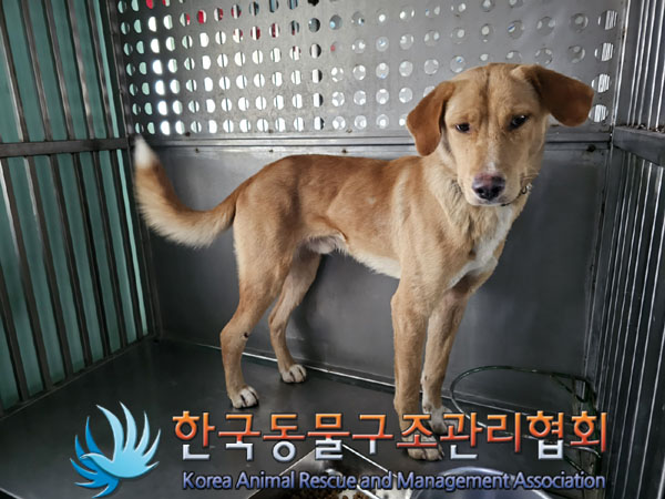 한국동물구조관리협회_441392202300221