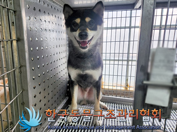 종료(반환) 시바의…