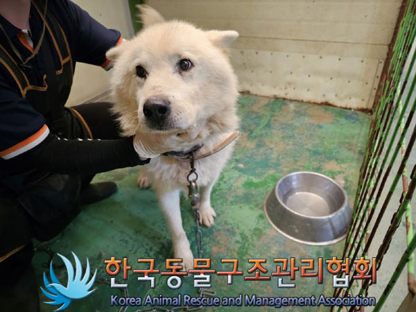 한국동물구조관리협회_411315202300653