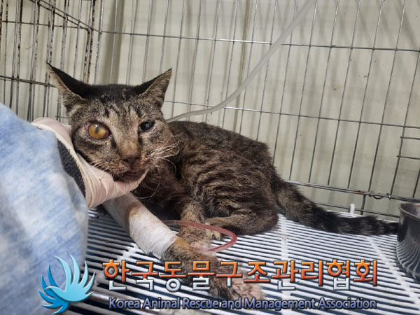 종료(자연사) 한국…