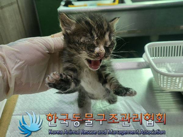 종료(자연사) 한국…