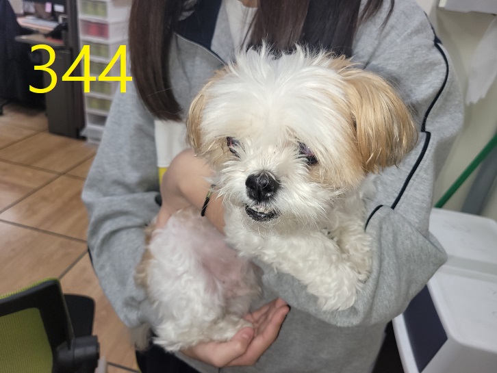 신영재동물병원_428355202300553
