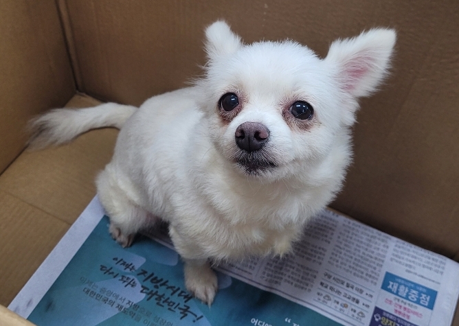 유기동물보호센터_447507202300111
