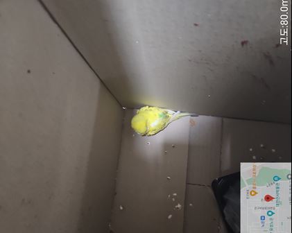 대전동물보호센터_430367202300605
