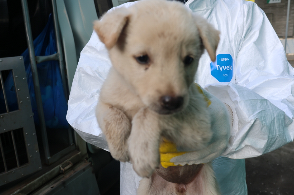 제주 동물보호센터_450650202303599