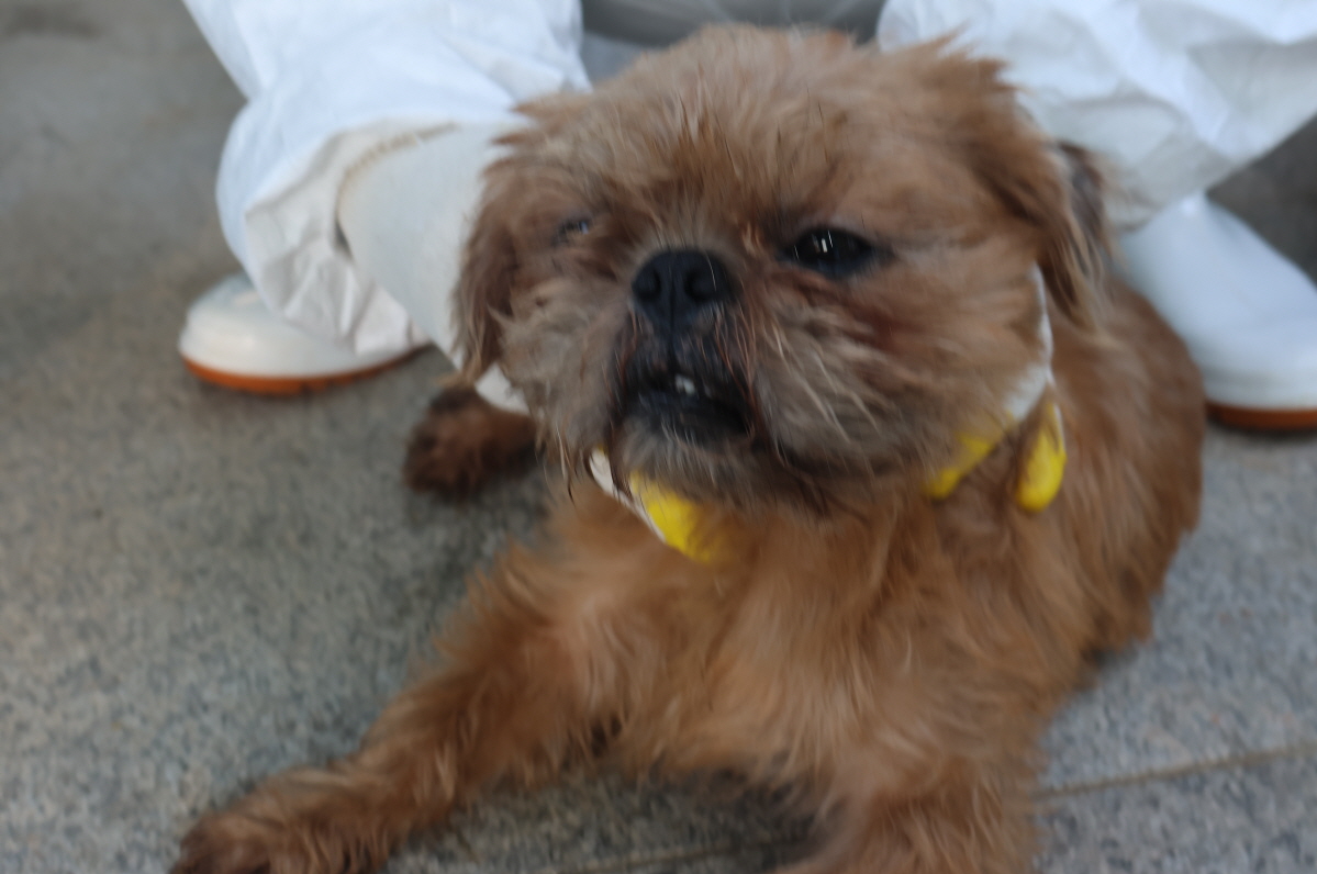 제주 동물보호센터_450650202303585