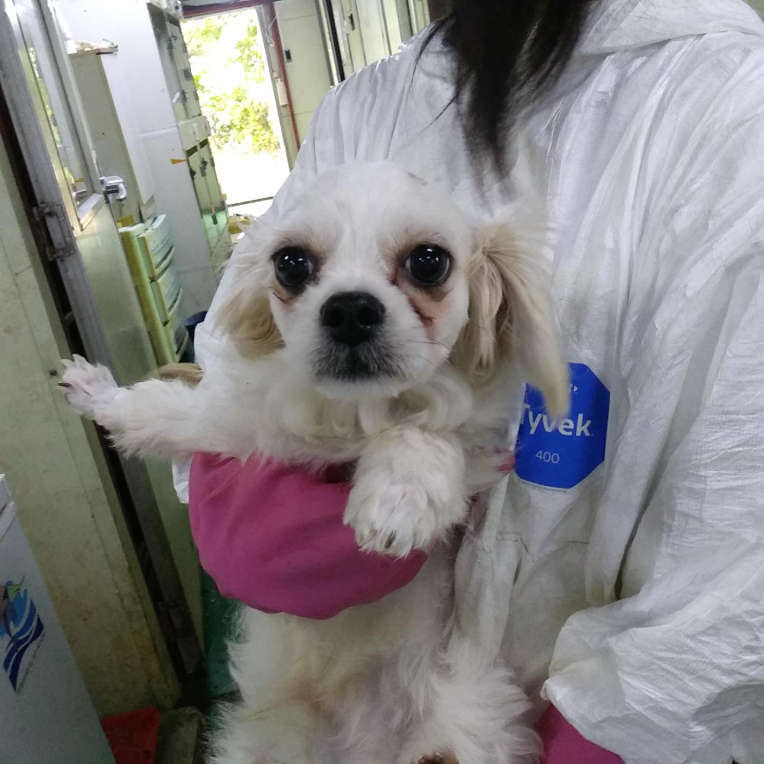 인천광역시수의사회_428353202301190