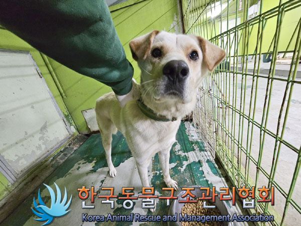 한국동물구조관리협회_441409202301682