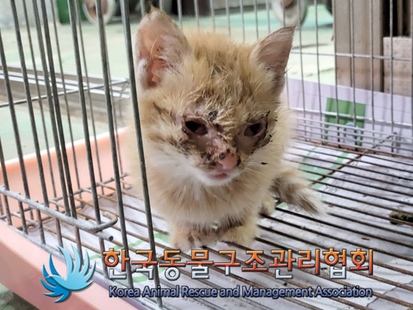 한국동물구조관리협회_441409202301685