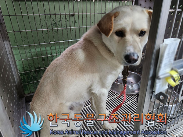한국동물구조관리협회_441392202300224