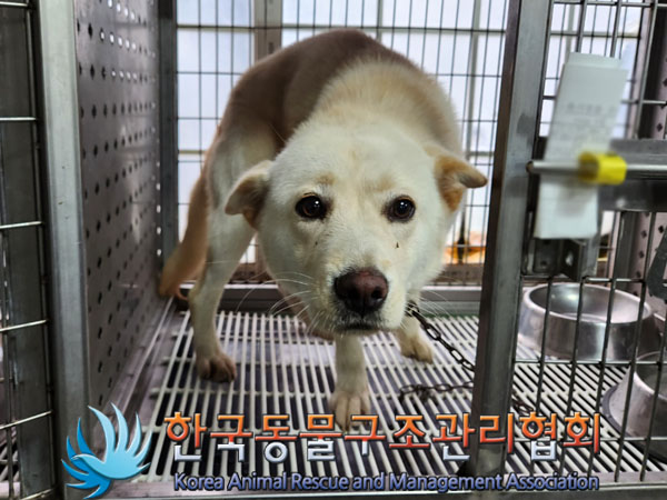한국동물구조관리협회_441409202301676