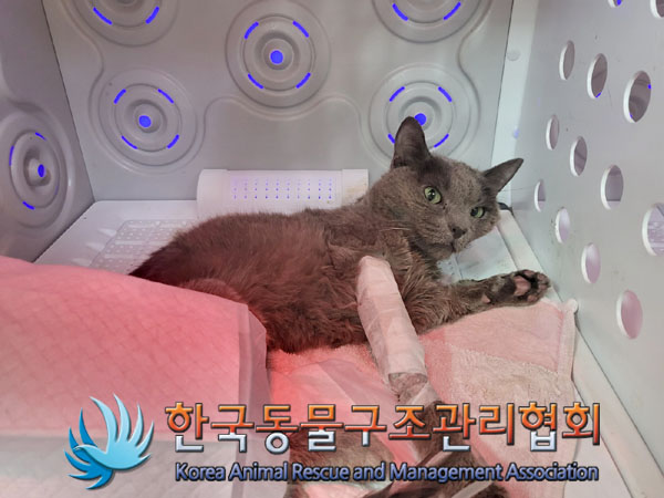 종료(자연사) 러시…