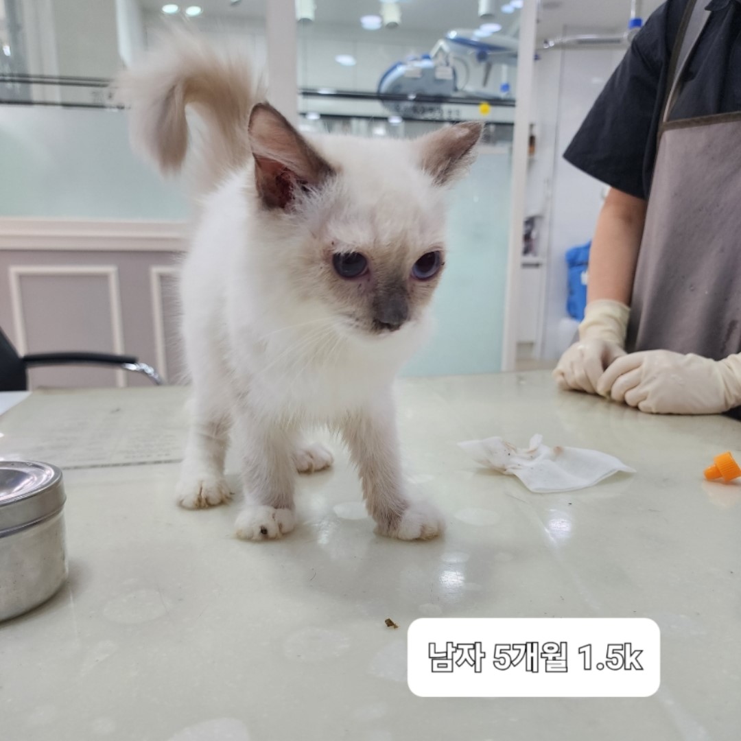 옥천동물병원_443443202300699
