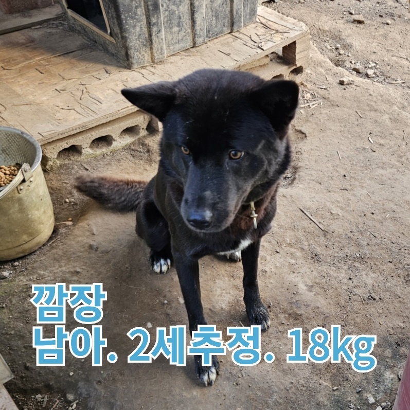 장성군동물보호센터_446498202300400