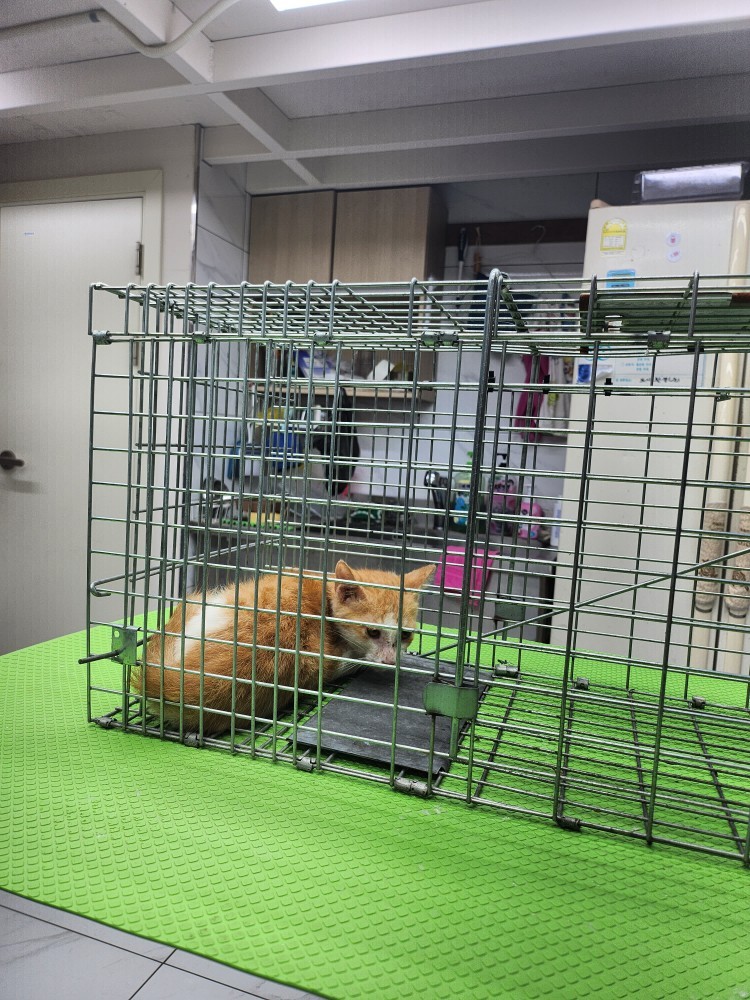 신공항동물병원_428349202300973