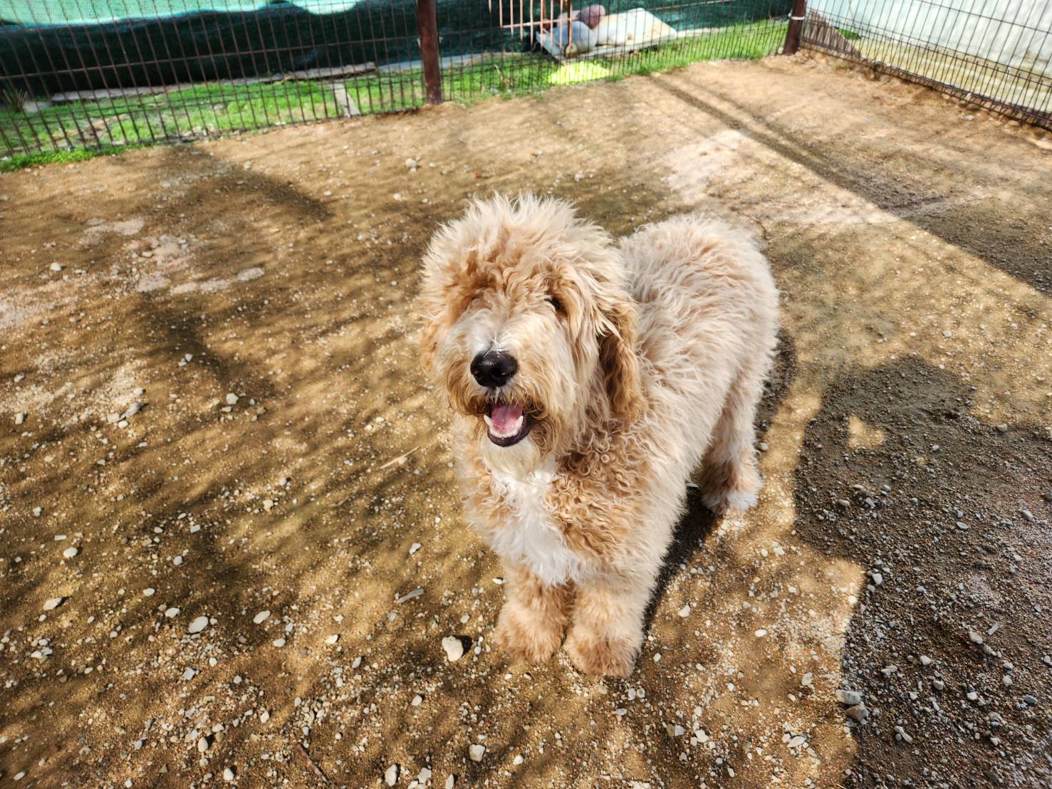 한국야생동물보호협회_441393202302091