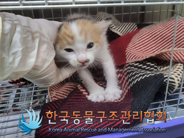 한국동물구조관리협회_411316202300771