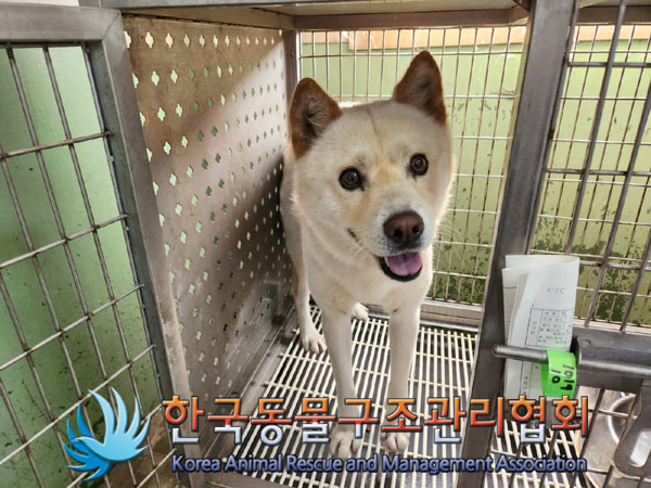 한국동물구조관리협회_411300202300416